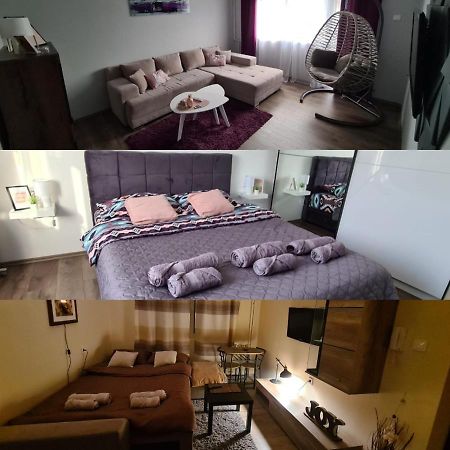 Grey & Sunny Apartments Zajecar Bagian luar foto