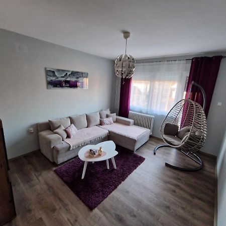Grey & Sunny Apartments Zajecar Bagian luar foto