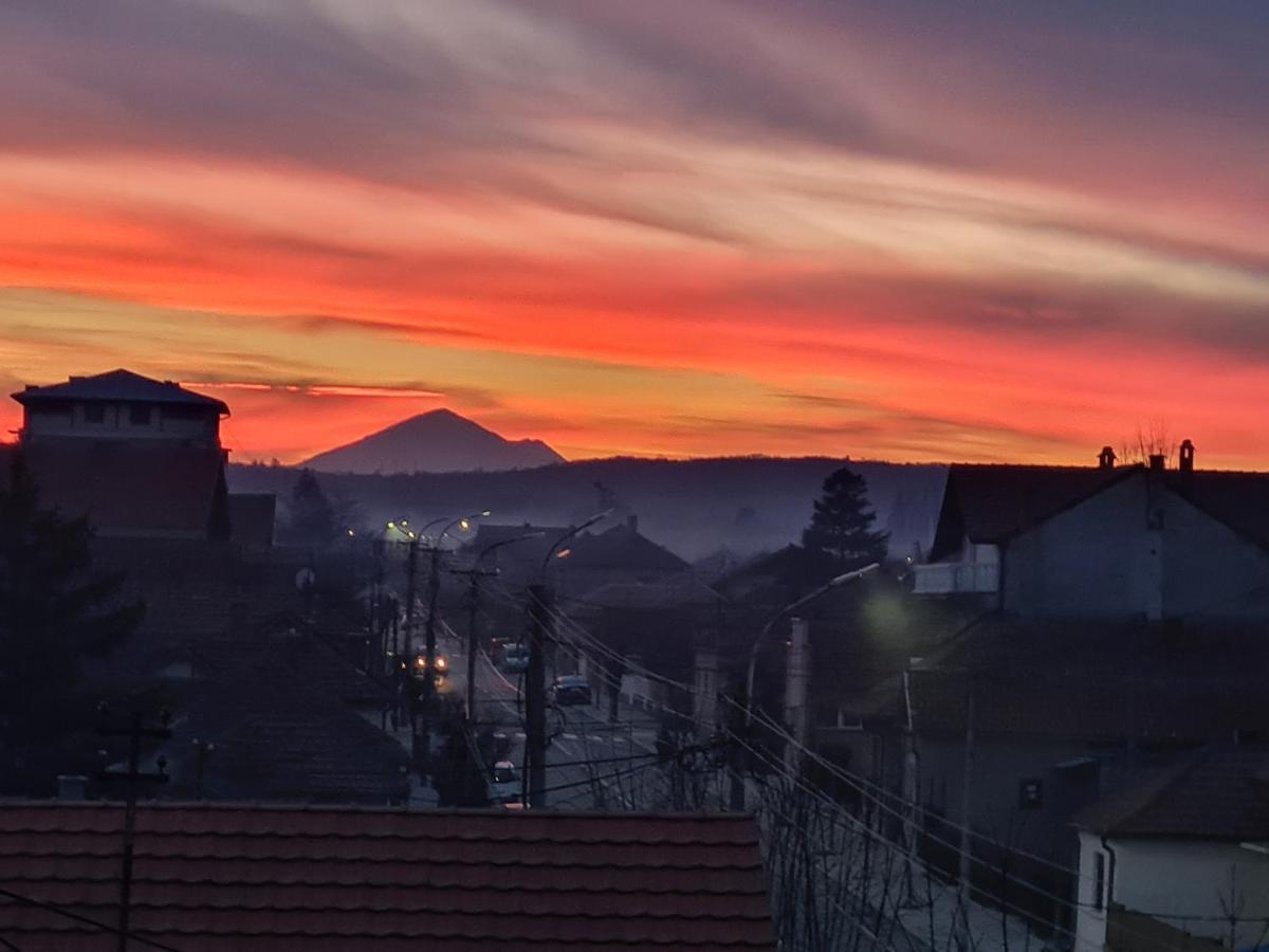 Grey & Sunny Apartments Zajecar Bagian luar foto