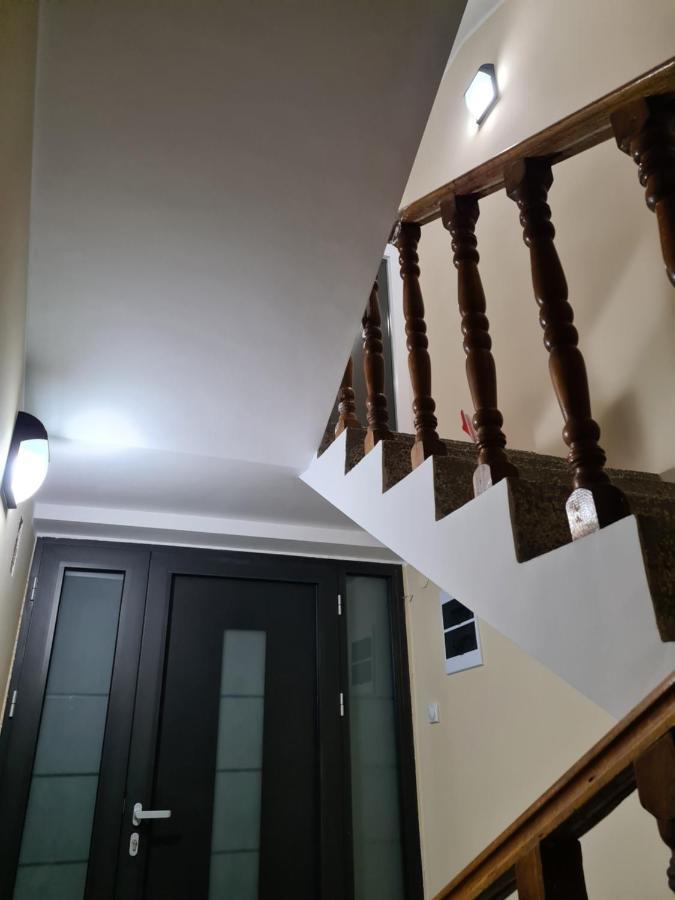 Grey & Sunny Apartments Zajecar Bagian luar foto