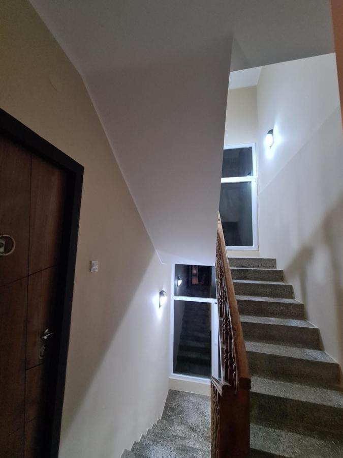 Grey & Sunny Apartments Zajecar Bagian luar foto
