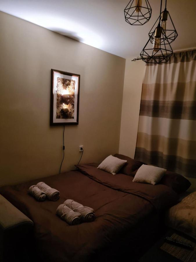 Grey & Sunny Apartments Zajecar Bagian luar foto