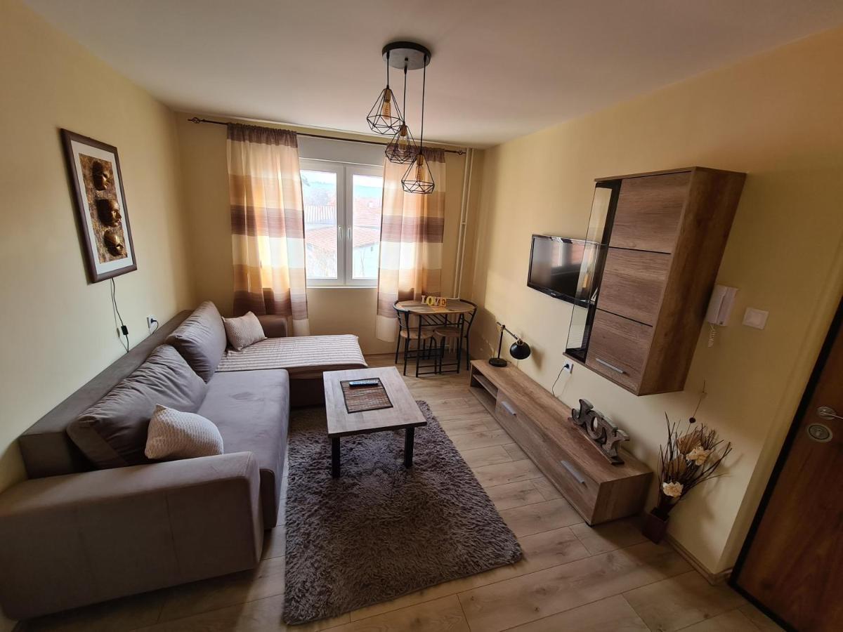 Grey & Sunny Apartments Zajecar Bagian luar foto