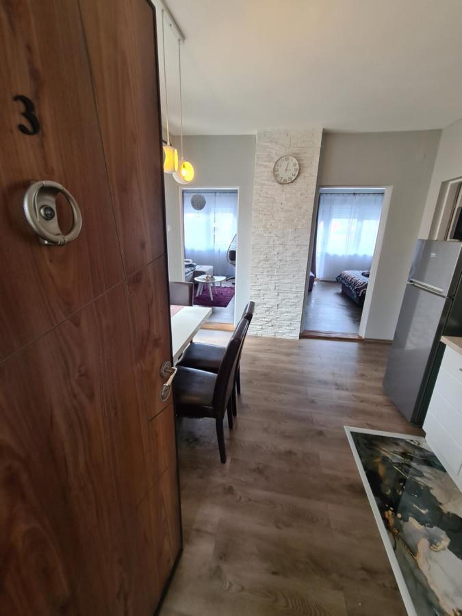 Grey & Sunny Apartments Zajecar Bagian luar foto