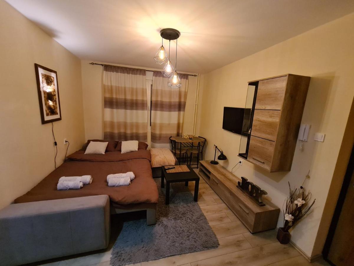 Grey & Sunny Apartments Zajecar Bagian luar foto