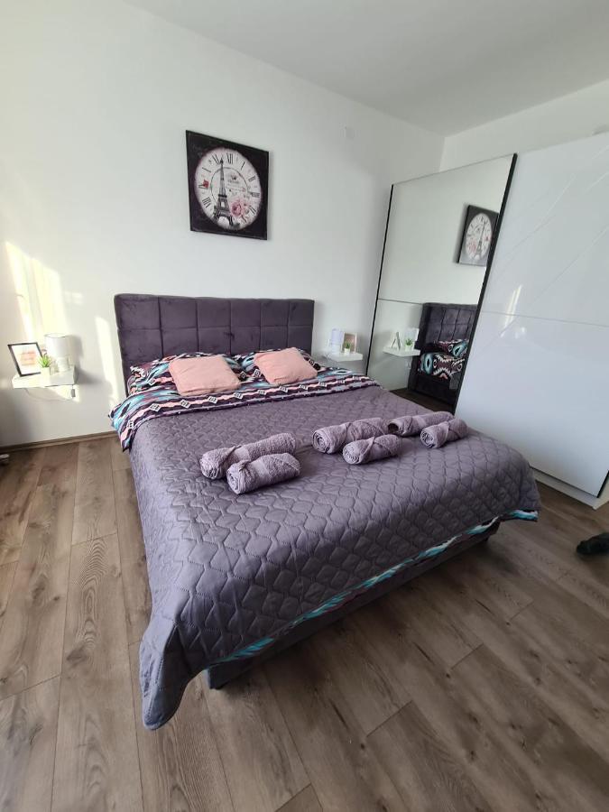 Grey & Sunny Apartments Zajecar Bagian luar foto