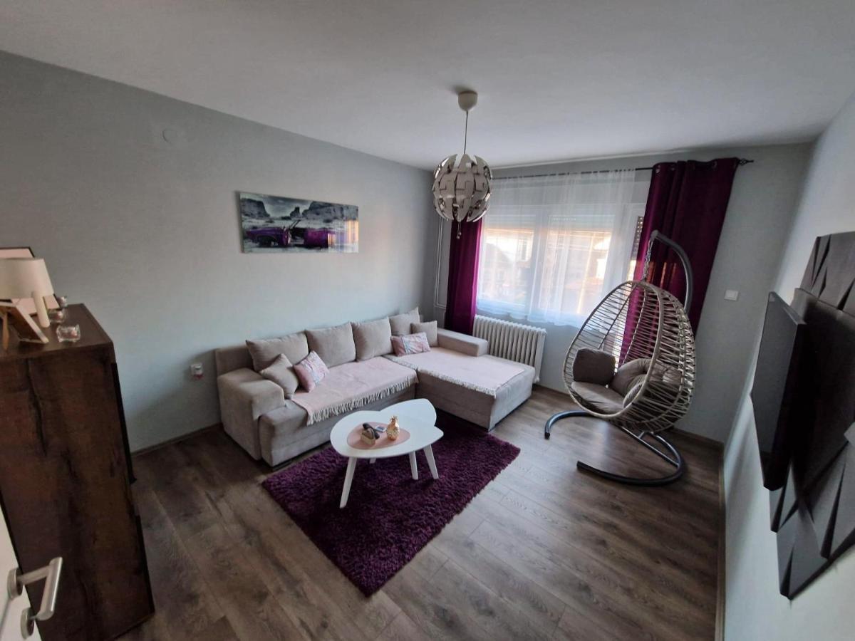 Grey & Sunny Apartments Zajecar Bagian luar foto