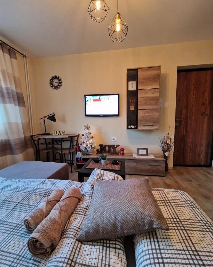 Grey & Sunny Apartments Zajecar Bagian luar foto